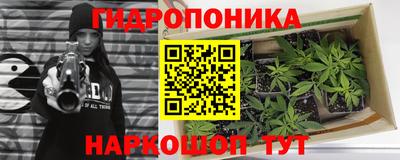 соль ск Бийск