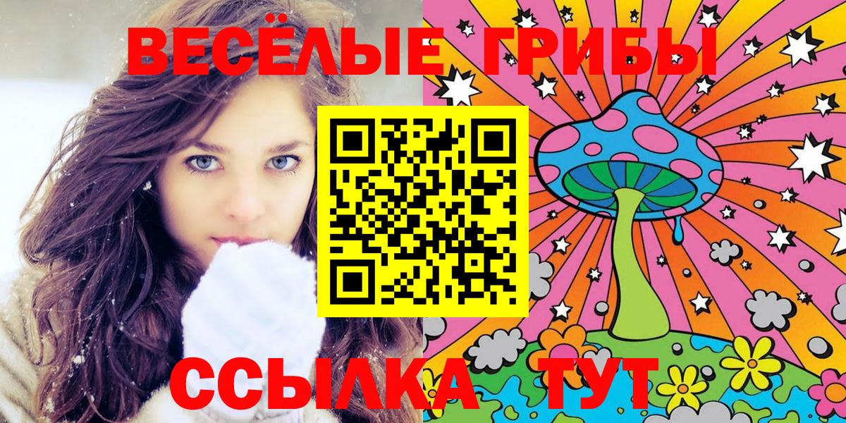 Галлюциногенные грибы Psilocybe  Псилоцибиновые грибы ЛСД  Гай  Вход с VPN 